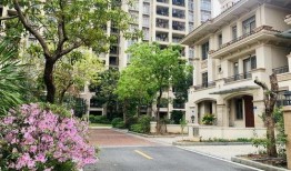 广州爆料事件最新消息,真相逐步浮出水面